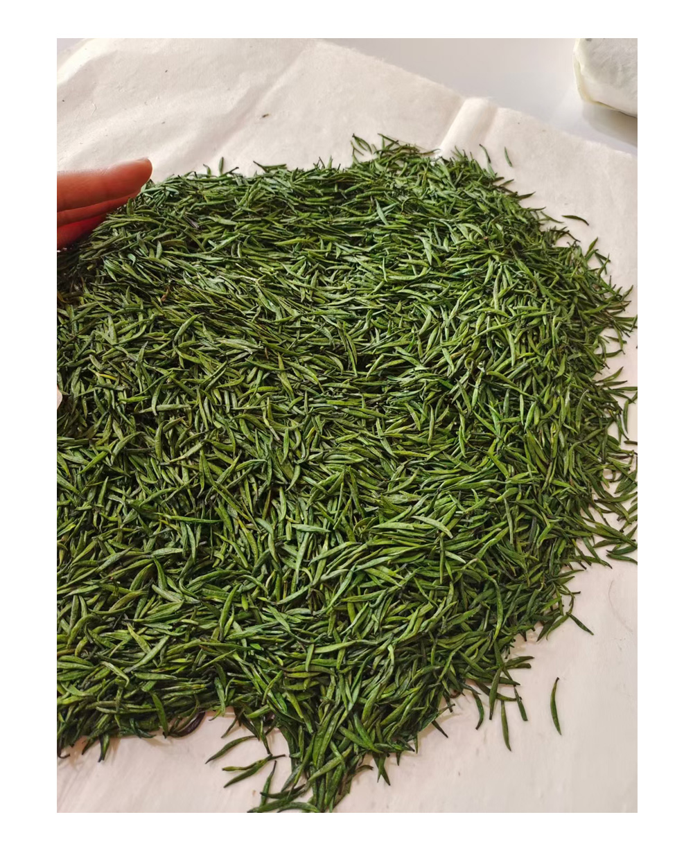 綠茶